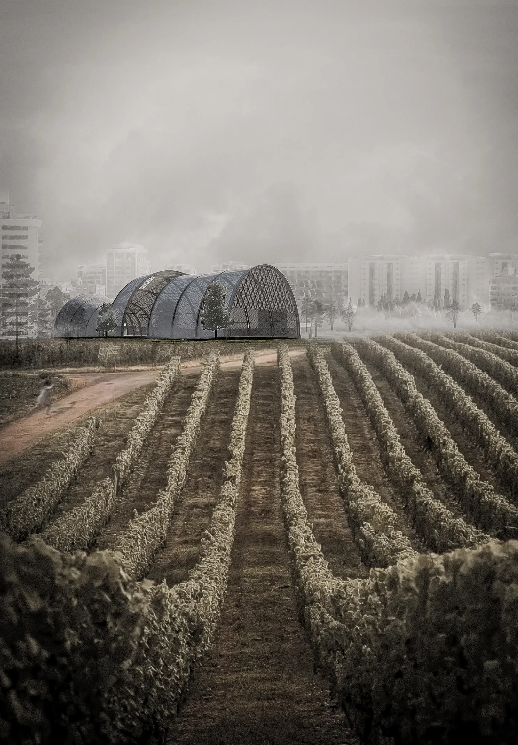 The timber and cardboard vault standing in a misty field of vines.